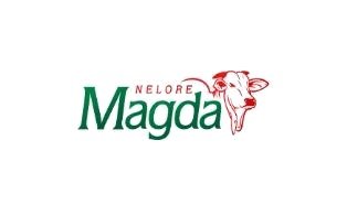 Nelore Magda
