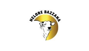 Nelore Bazzana