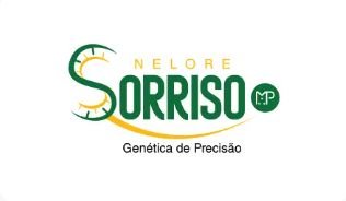 Nelore Sorriso