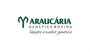 Araucária Genética Bovina
