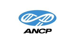 ANCP